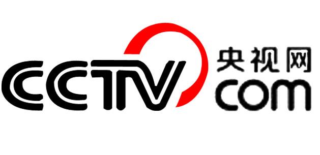 央视网LOGO.jpeg